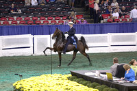 196.  Two-Year-Old Five-Gaited