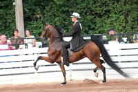 25-Five-Gaited Pony Stake