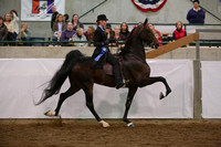 39.  ASB Five-Gaited Open