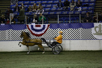 147.  Amateur Road Pony National Championship