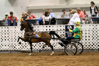162-Road Pony Championship