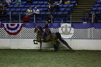 107.  Adult 3Gt Country Pleasure National Championship