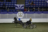 164.  Harness Pony National Championship