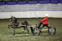 130.  Harness Pony-Amateur National Championship