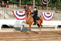 57-Two Year Old Three Gaited