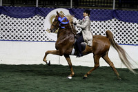41.  ASB Five-Gaited Pleasure-39 and Up