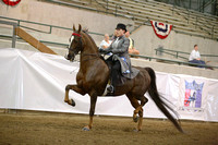 8. ASB 3 Gaited English Country Pleasure  Limit