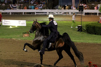 53-Open Five Gaited Stake