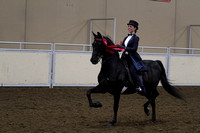 121-All Breed Saddle Seat Equitation Stake-Juvenile