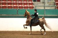 09-Open Three-Gaited (Moved til last class)