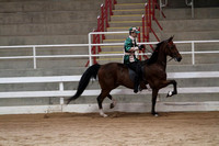 67-Road Horse Under Saddle