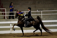 133.  Equitation Championship