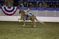 165.  Five-Gaited Amateur National Stake