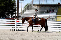 63-Registered Quarter Horse:Paint Pleasure