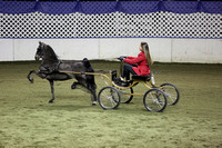 114.  AHHS Youth Harness Pony National Championship