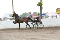 21.  Amateur Road Horse