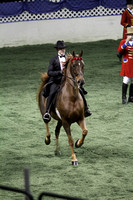 114.  Equitation National Championship