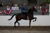 87-Road Horse Under Saddle