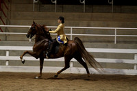 55.  Juvenile Five-Gaited 13 and Under