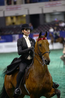020.  Equitation-17 Year Olds