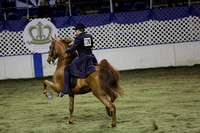 44.  Three-Gaited Two-Year-Old