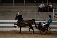 73-Hackney Harness Pony Pleasure Driving Championship