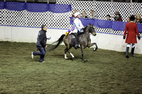 133.  AHHS Youth Medallion Road Pony Under Saddle National Championship]