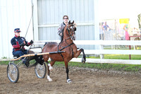 18-Equine Roadster Pony Cup