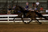 57-Road Horse Under Saddle