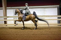 66-ASB Open Five Gaited