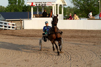 15-Amateur Road Horse