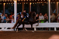 39-Amateur Five-Gaited Stake