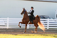 38-Saddle Seat Equitation 14-17