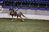 68.  Five-Gaited Amateur Stallion-Gelding