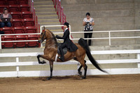 70.  Equitation 13 and Under
