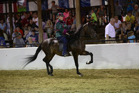 08.  Road Horse Under Saddle Stake