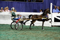 194-Junior Road Pony Championship