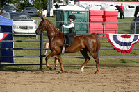 19. Academy Horsemanship 10 & Under WT