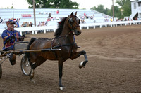 47. Amateur Road Pony