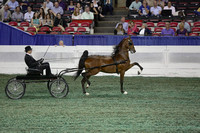 114.  ASR KY Futurity-2 Year Old Fine Harness