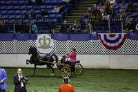 126.  AHHS Youth Med Pleasure Driving National Championship