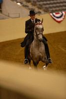 47A.  Three-Year-Old Five-Gaited