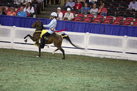 226.  Juvenile Road Pony Under Saddle Championship
