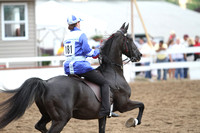 05-Amateur Road Horse Under Saddle