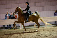 26.  Open Five-Gaited Stake