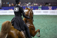 030.  Equitation-14 Year Olds