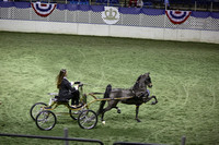 111.  AHHS Youth Medallion Hackney-Harness Pony National Championship