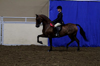 80-All Breed-Hunt Seat Equitation 17 & Under