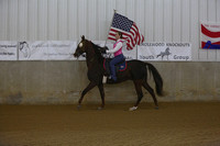 0. Flag Horse