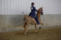 52.  SS  Equitation Championship-All Ages